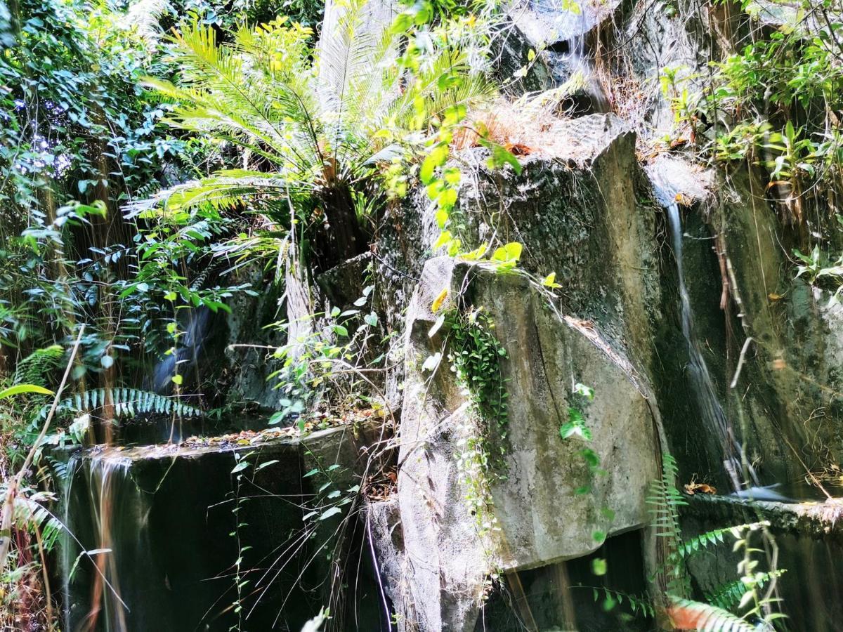 Oyo 604 Ruen Mai Horm Resort Trang Bagian luar foto