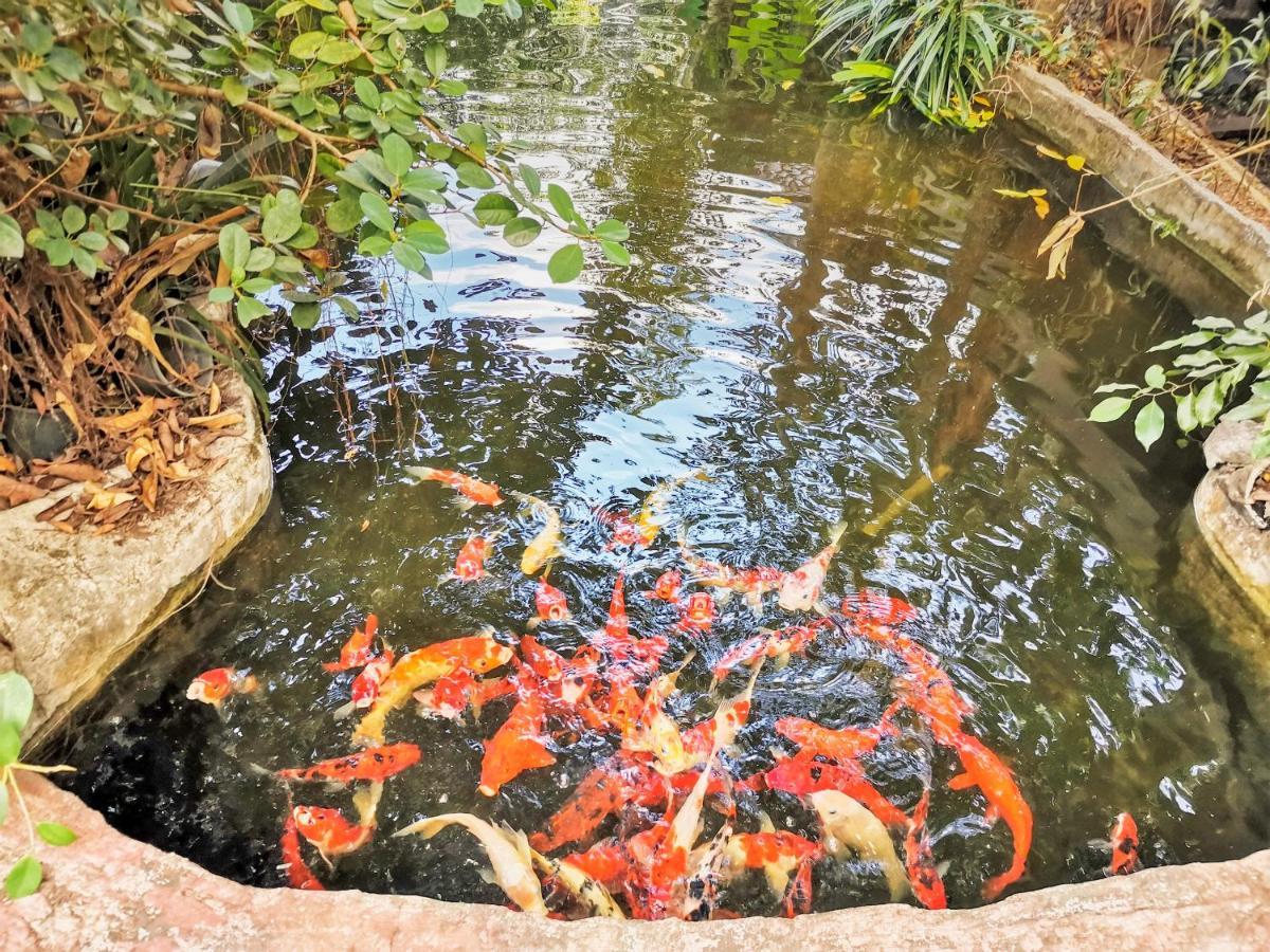 Oyo 604 Ruen Mai Horm Resort Trang Bagian luar foto